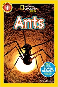 Image of National Geographic Kids Ant [ kelas4-5-6 ]