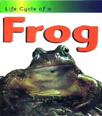 Image of Life Cycle of a Frog [kelas4-5-6]