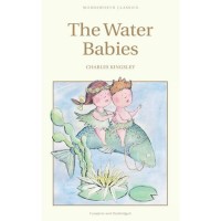 Image of The Water Babies [kelas 7-8-9]