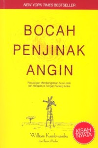Image of Bocah Penjinak Angin [ kelas 7-8-9 ]