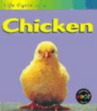 Image of Life Cycle of a Chiken [ kelas4-5-6]