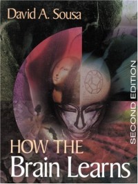 Image of How the Brain Learns (Copy)