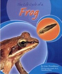 Image of The Life Cycle of a Frog