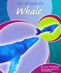 Image of The Life Cycle of a Whale