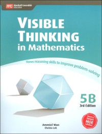 Image of Visible  Thinking in Mathematics  5B