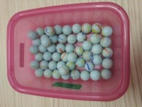 Image of Kelereng Putih 50 Buah