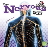Image of Your Nervous System Works![kelas 4-5-6]