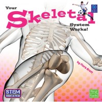 Image of Your Skeletal System Works![kelas 4-5-6]