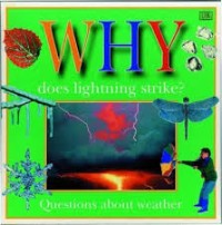 Image of Why Does Lightning Strike? [kelas 4-5-6]